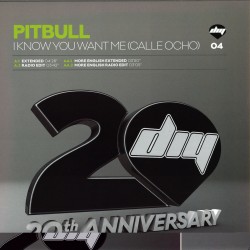 Pitbull - I Know You Want Me (calle Ocho)