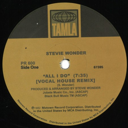 Stevie Wonder T- All I Do (House Remixes)