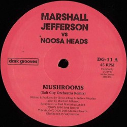 Marshall Jefferson vs Noosa...